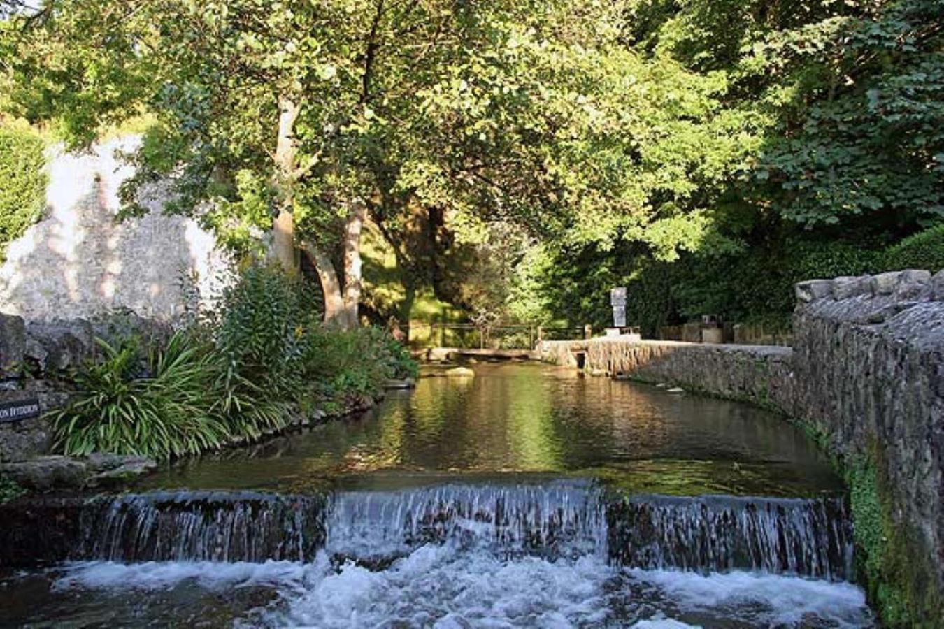 Vale View: Stylish Dog-friendly Near Apartment *